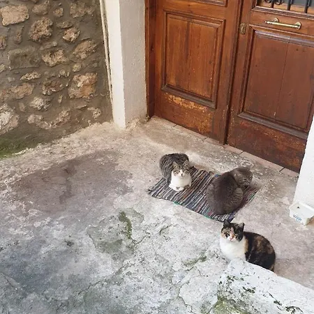 ζεστή φωλιά Apartment *